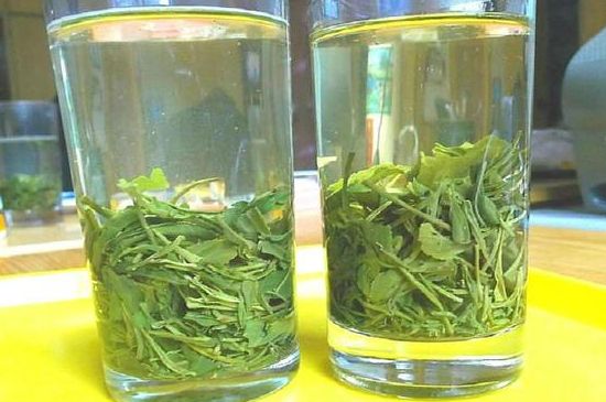 茶葉為什么不能亂送人，買茶葉一次送一盒還是兩盒