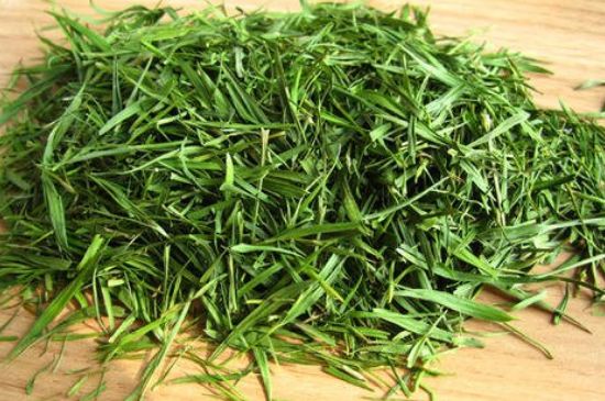 哪類人不適合喝石竹茶，石竹茶的功效與禁忌