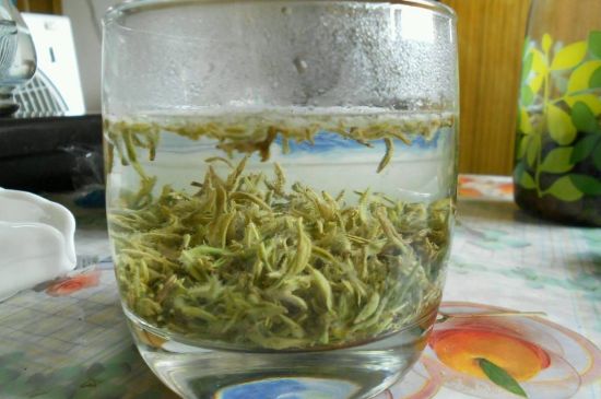 碧螺春正確泡法和飲用，碧螺春茶泡茶方法與溫度