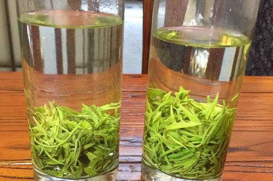 黃金茶的功效及禁忌癥，黃金茶有什么副作用嗎？
