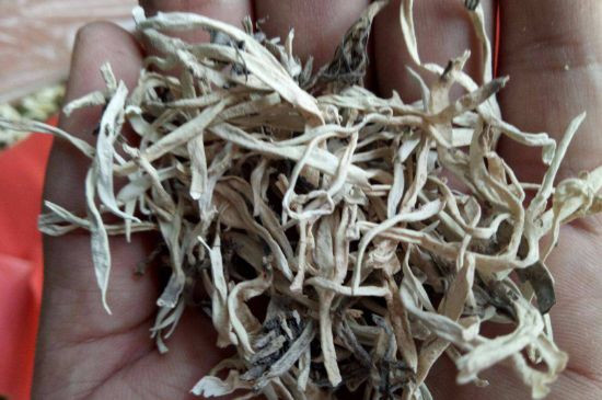 麗江雪茶的禁忌，白雪茶的副作用