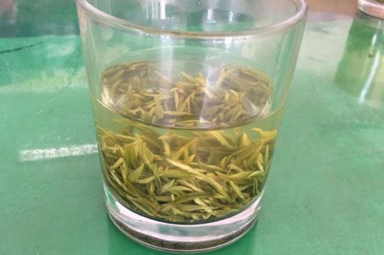 碧螺春正確泡法和飲用，碧螺春茶泡茶方法與溫度