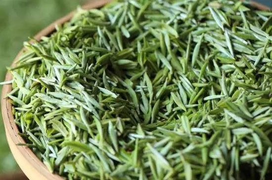 雀舌茶的沖泡方法，怎么沖泡雀舌茶？