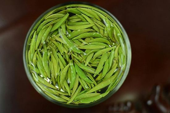 雀舌茶什么人不能喝，雀舌茶的功效與禁忌