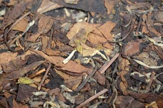 福鼎白茶能長時(shí)間悶泡嗎，老白茶可以悶著喝嗎？