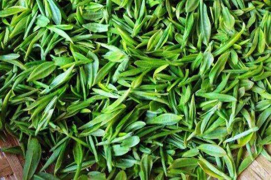 云霧綠茶的功效及禁忌，哪些人不適合喝云霧茶