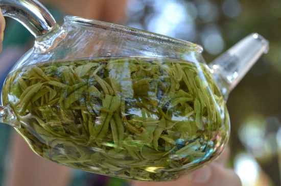 新手學泡茶的基本常識，從零開始學泡茶