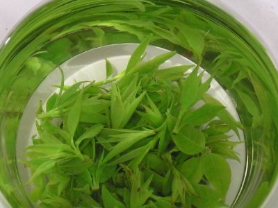茶葉具有什么功效，茶葉的功效與作用大全