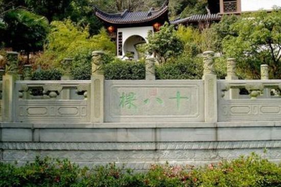 世界最貴的茶葉排行榜，十大最貴的茶