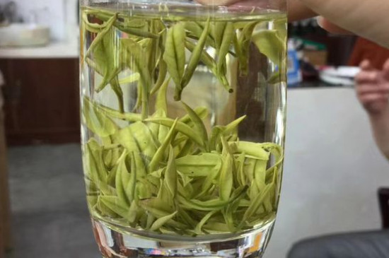 茶葉過期5年了但沒開封，茶葉放久了能喝嗎