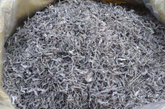 怎樣辨別莓茶發(fā)霉了，莓茶發(fā)霉和白霜的區(qū)別