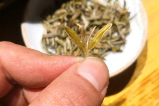 六大茶類哪種適合長期存放，日常如何保存方法一覽？