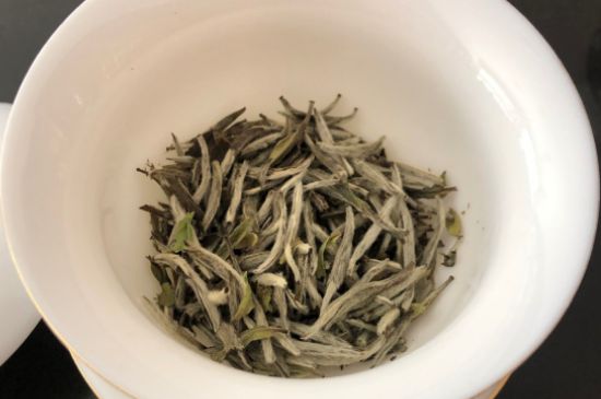 春茶上市白茶的好壞怎么區(qū)分，春白茶怎么分辨好不好？