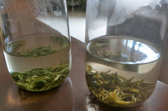 真假碧螺春泡水后區(qū)別，蘇州洞庭碧螺春怎樣鑒別好壞？