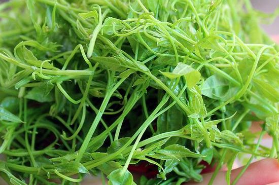 茅巖莓茶保質(zhì)期有多久，張家界莓茶存放時間長了還能喝嗎？