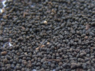圓形顆粒狀茶是什么茶，像飼料一樣一粒粒的是什么茶？