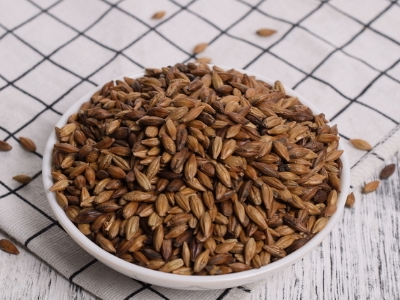 圓形顆粒狀茶是什么茶，像飼料一樣一粒粒的是什么茶？