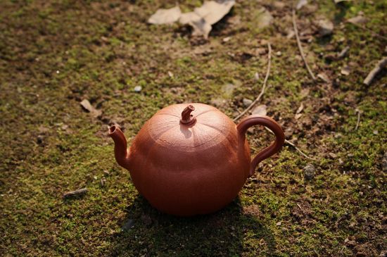 紫砂壺泡什么茶最佳，紫砂壺一般泡什么茶？
