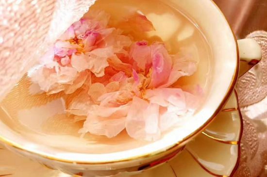 玫瑰花茶一周喝幾次，玫瑰花茶可以天天喝嗎？