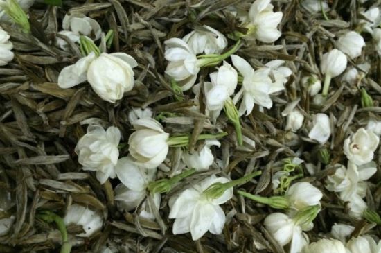 茉莉銀針口感，茉莉銀針是什么味道？