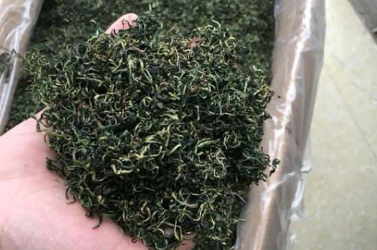 蒲公英十大搭配，蒲公英泡水搭配大全集