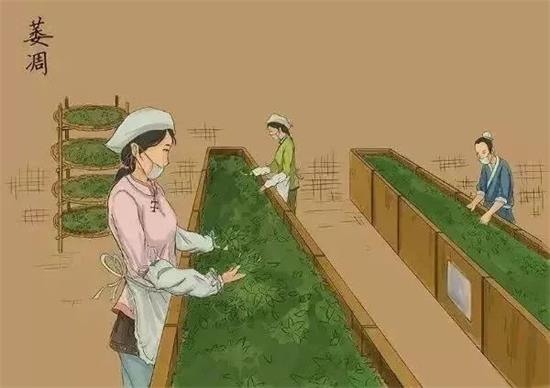 制茶八步驟，制茶工藝流程圖
