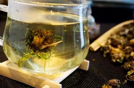 蒲公英最佳搭配，蒲公英茶和什么搭配泡水最佳