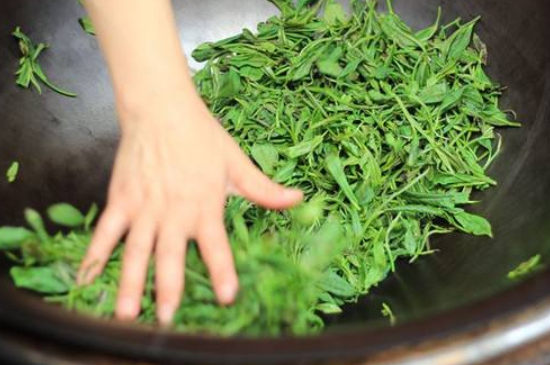 炒青綠茶與綠茶的區(qū)別，烘青和炒青哪個好喝？