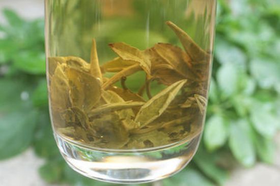 茉莉龍珠泡開后為什么都是梗，茉莉龍珠泡開后什么樣？