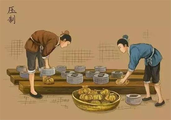 制茶八步驟，制茶工藝流程圖