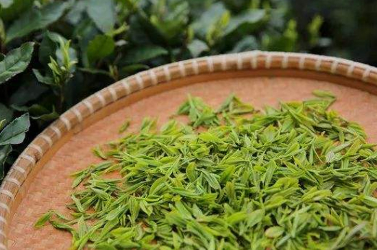 炒青綠茶與綠茶的區(qū)別，烘青和炒青哪個好喝？