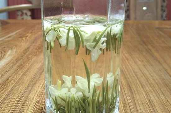 女孩喝茉莉茶的好處，茉莉茶葉的功效與禁忌