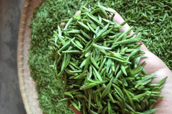 采茶的方法與步驟，如何正確采摘茶葉？