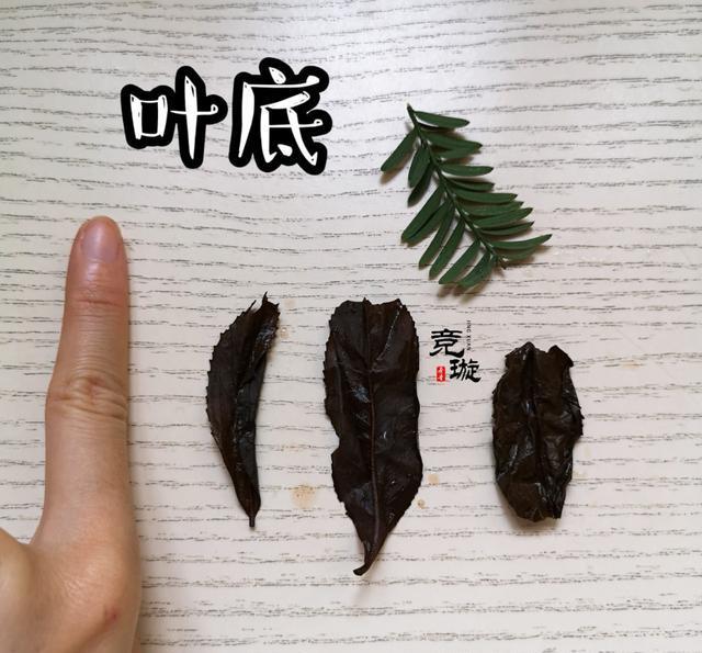 正山小種很細還很黑亮，正山小種越細越好嗎