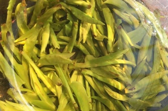 龍井是明前的好還是雨前的好，明前茶和雨前茶哪個好喝？