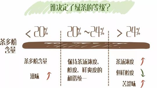 什么綠茶口味重口感濃郁，口味比較重的綠茶都有那些？