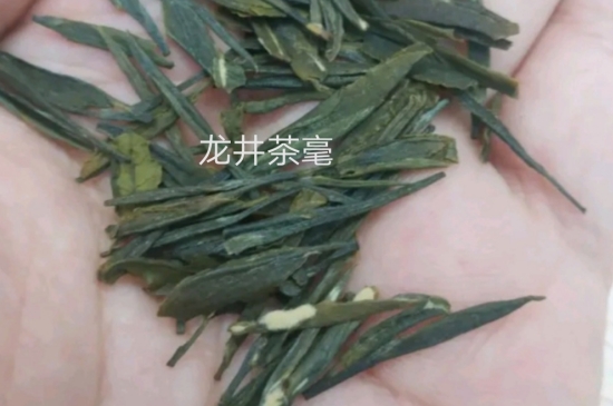 西湖龍井茶毫和發(fā)霉區(qū)別圖片，長霉的龍井茶葉會(huì)是什么樣？