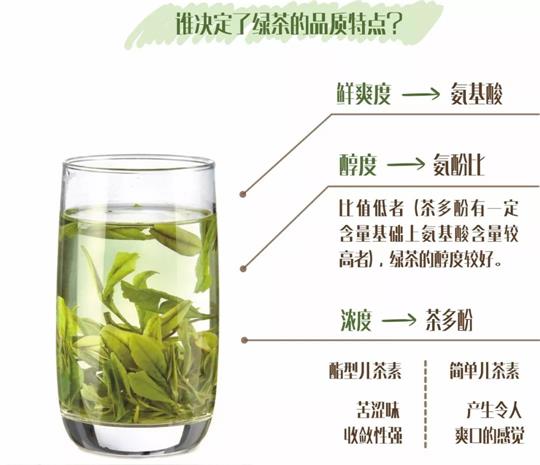 什么綠茶口味重口感濃郁，口味比較重的綠茶都有那些？