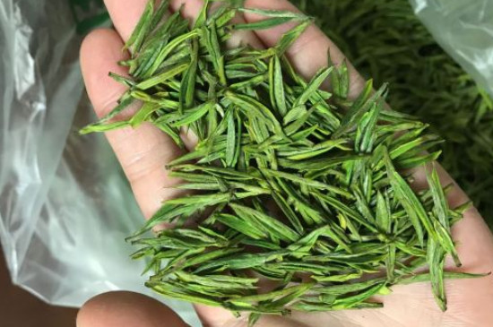 什么綠茶茶葉唇齒留香，哪個(gè)品種綠茶香氣好？