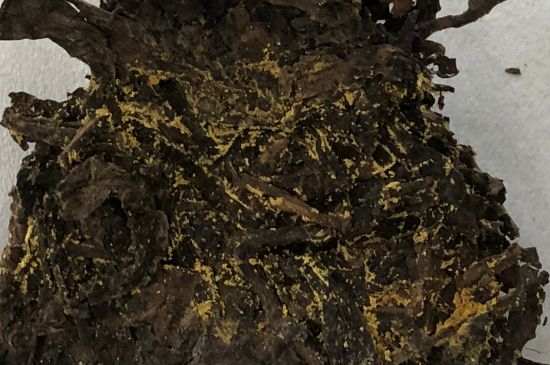 怎么知道涇渭茯茶是否變質(zhì)，茯磚茶金花和發(fā)霉的區(qū)別