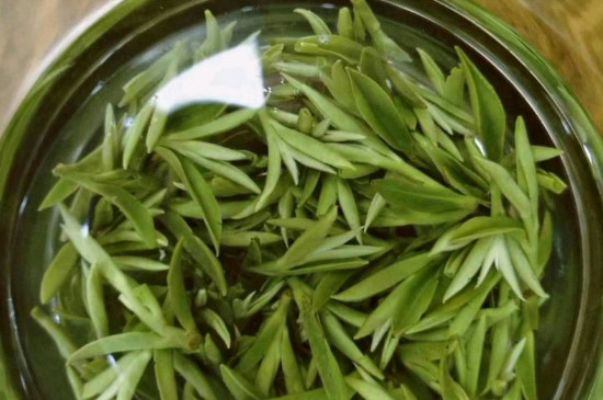 什么綠茶茶葉唇齒留香，哪個(gè)品種綠茶香氣好？