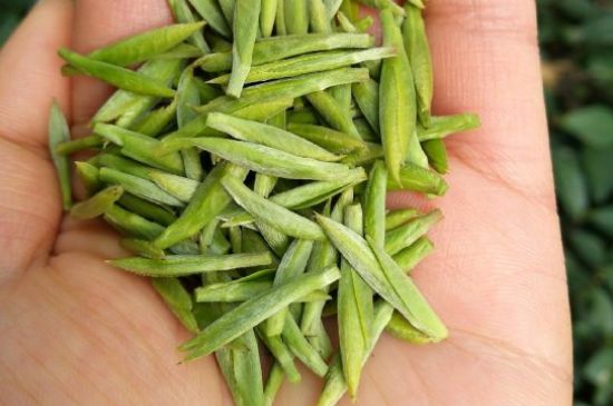 什么綠茶味道濃香，那個(gè)綠茶比較濃香？