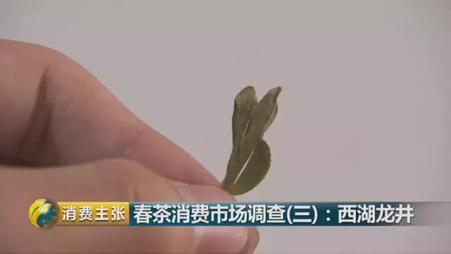 龍井群體種和43號(hào)的區(qū)別圖片，龍井43和群體種哪個(gè)好喝？
