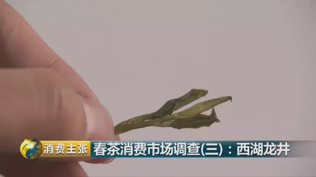 龍井群體種和43號(hào)的區(qū)別圖片，龍井43和群體種哪個(gè)好喝？