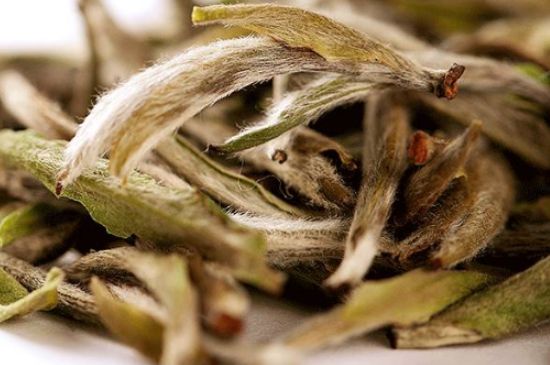 荒野銀針有什么特點(diǎn)，荒野銀針的味道口感咋樣？