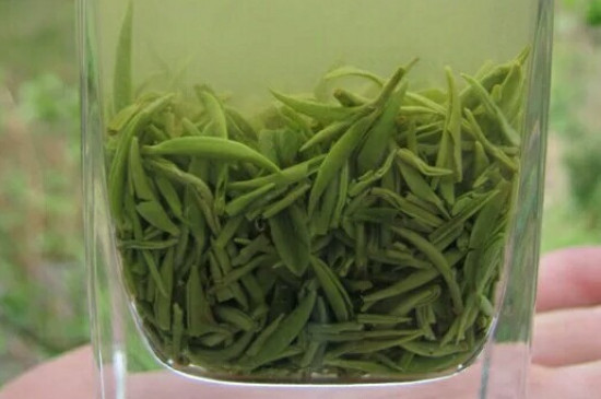 什么綠茶茶葉唇齒留香，哪個(gè)品種綠茶香氣好？