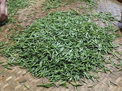 金駿眉幾年可以算陳茶，金駿眉新茶好還是老茶