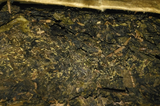 黑茶茯茶保存五大忌，茯茶收藏的注意事項(xiàng)
