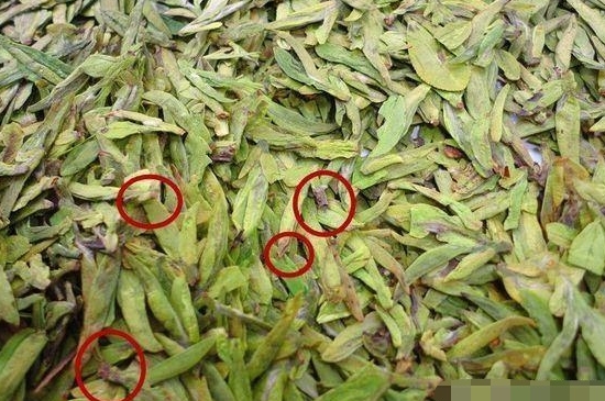 烏牛早和龍井的區(qū)別圖片，龍井43號(hào)和烏牛早茶的對(duì)比