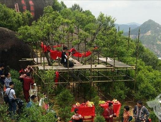 宋種一號價值為什么高，鳳凰單樅宋種1號價格與產(chǎn)量多少？